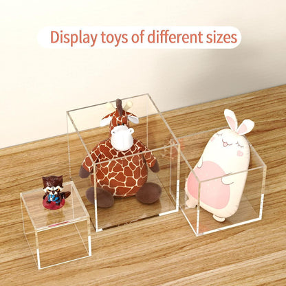 5 Sided Museum Display Box Case
